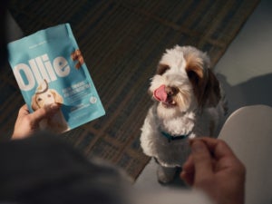 Ollie packaging