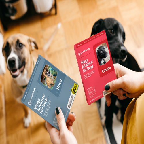 Omaha-Based PetFriendly Raises $6 million in Seed Funding
