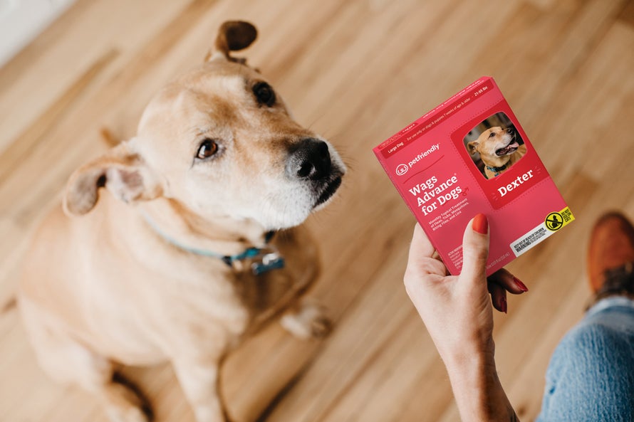 pet friendly product