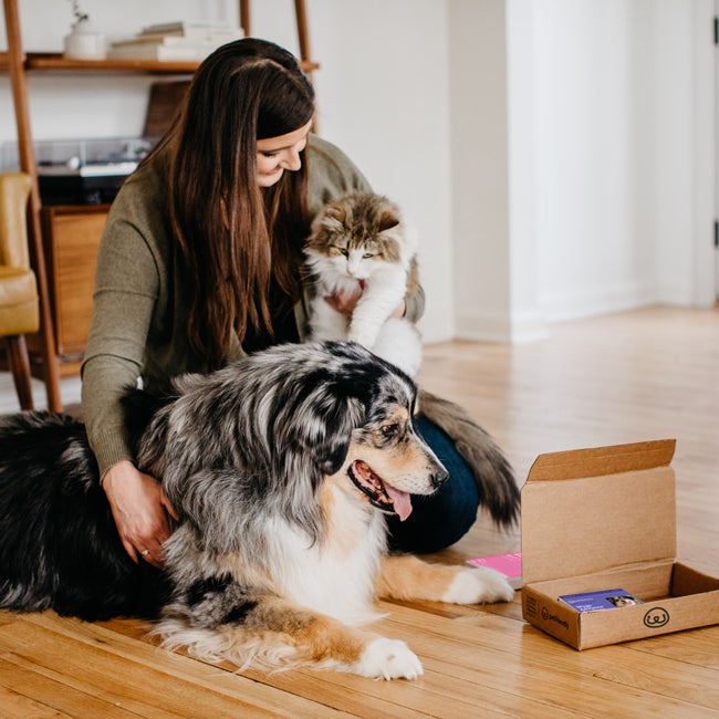 PetFriendly dog food