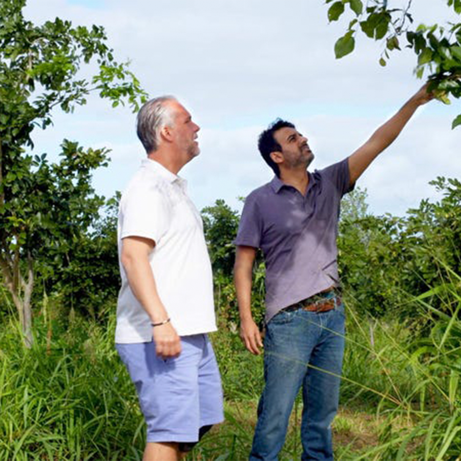 A New Superfood from Hawaii and the Future of Food