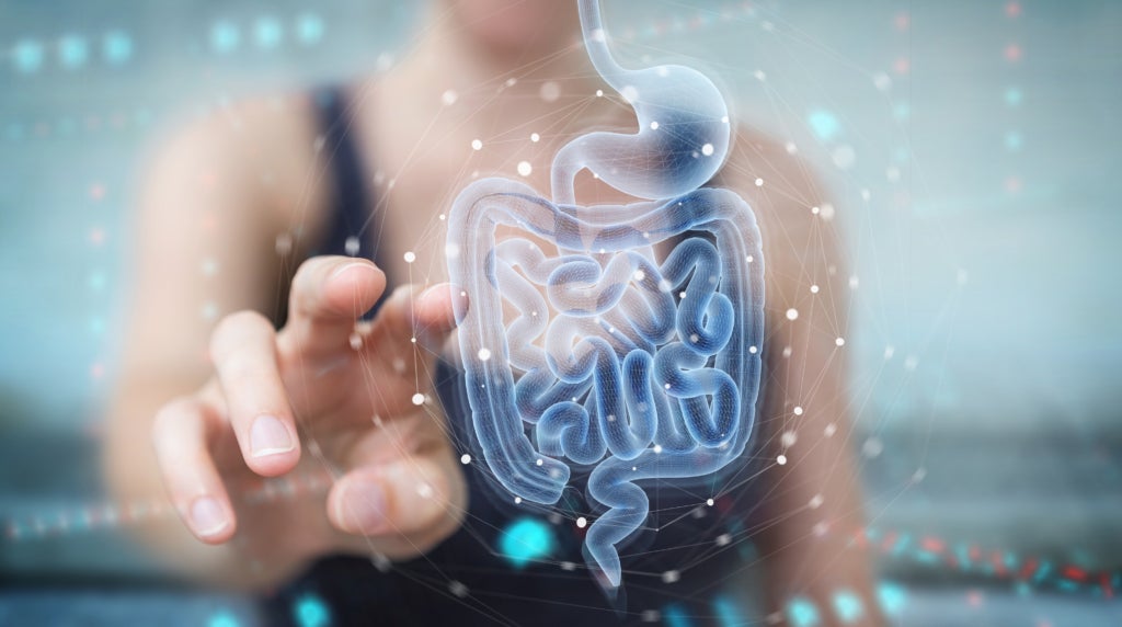 hologram of organs