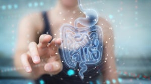 hologram of organs