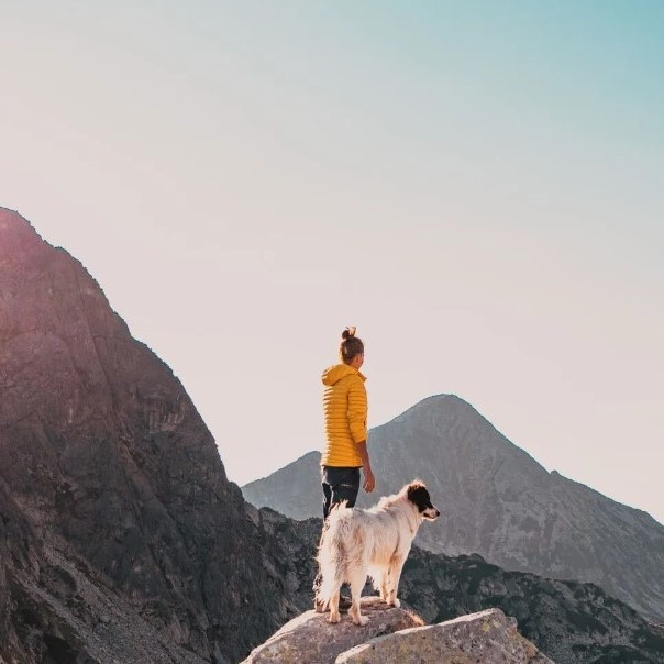 Ollie Joins the Pet Sustainability Coalition: A Step Toward a Greener Future