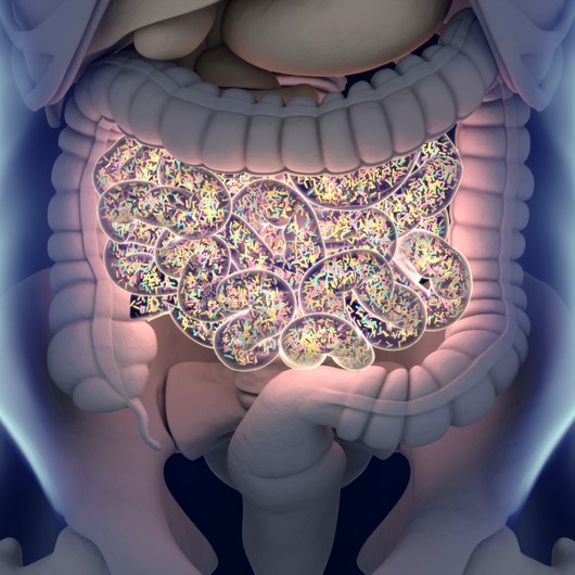 BiomeSense to Test Microbiome GutLab Technology with Pendulum
