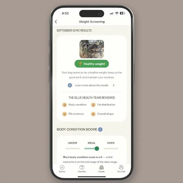 Ollie scoops up health startup to launch a tool that analyzes dog poop